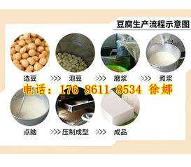 工厂专用豆腐机 多功能豆腐机价格 小本创业全自动豆腐机
